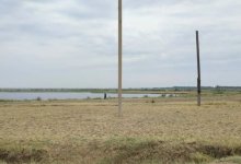 Четверо суток без еды и воды: тело молодого парня нашли в Павлодарской области