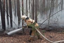Три села остаются в безопасности – акимат о пожаре в Абайской области