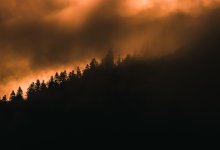 Песнь пламени и коррупции: кому выгодны лесные пожары в Казахстане?