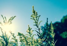 Ясная погода ожидается на большей части территории Казахстана