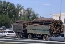 Древесину вывозят из "Семей орманы": в Минэкологии прокомментировали фото из соцсетей