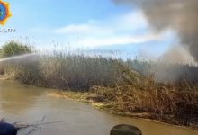 Камыш горит в Акмолинской области (ВИДЕО)