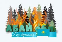 Сбор средств для пострадавших от лесных пожаров в области Абай завершен