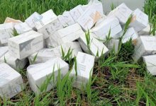 Табачные стики на шесть миллионов хотели перевезти через казахстанско-кыргызскую границу