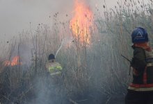 Пожар в столице: на помощь выехали силы ДЧС Акмолинской и Карагандинской областей