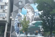 Мурал со снежным барсом восстановили в Алматы