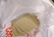 Центнеры анаши и тысячи маковых кустов изъяты в ходе спецоперации в Казахстане