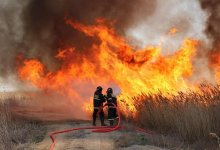 Камыш горит в Алматинской области