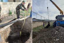 Жеребец весом 150 килограммов упал в глубокий колодец в ВКО