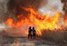 Пожарным удалось снизить площадь горящего камыша в Алматинской области