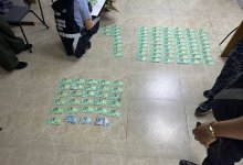 Подделкой документов техосмотра занималась страховой менеджер в Караганде