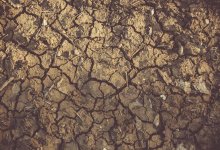 Сильная засуха ожидается в июле в двух областях Казахстана