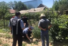 Десятки кустов марихуаны нашли у жителя Талдыкоргана