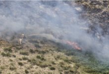 Загорание сухостоя ликвидировали на востоке Казахстана