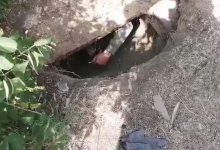 Сельчанин вырыл пролаз на неработающую шахту в своем дворе в Бестобе