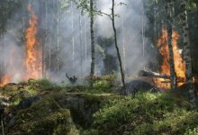 Высокую пожарную опасность прогнозируют синоптики в трех регионах Казахстана