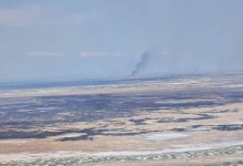 Пятый день тушат пожар в Иле-Балхашском резервате