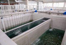 Первый этап новой станции питьевой воды запустили в Астане (ВИДЕО)