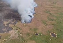 Площадь пожара в Иле-Балхашском резервате сократили до 30 гектаров