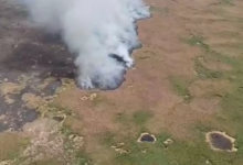 Пожар в Иле-Балхашском резервате локализован