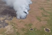 Пожар в Иле-Балхашском резервате ликвидировали
