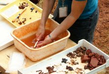 Поселение эпохи бронзы обнаружили на севере Казахстана