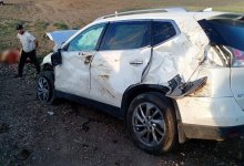 Водитель врезалась в стадо коров на трассе в Карагандинской области