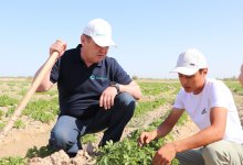 Депутаты встретились с членами сельской молодежной трудовой бригады в Кызылординской области