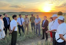 Ускорить создание нового района в области Абай попросили депутата