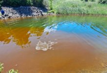 Рыжий оттенок воды в Иртыше насторожил жителей ВКО