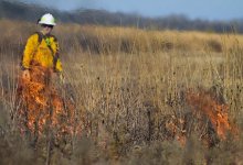 Больше часа горела степь недалеко от Павлодара