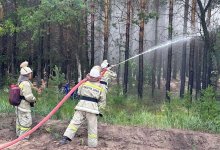 Потушен пожар в лесничестве в Павлодарской области