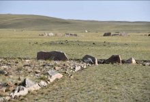 Ученые воссоздают древнее городище Бозок под Астаной