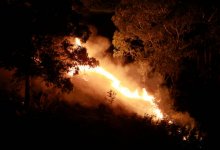 Молния подожгла сухую траву и кустарник в Баянауле