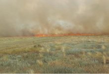 Сухостой загорелся в ЗКО