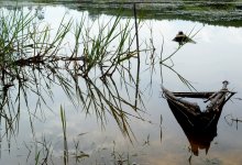 Двое детей утонули в Жамбылской области