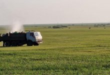 Не допустили негативного сценария – глава Минсельхоза о саранче в Костанайской области