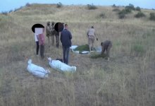 Почти 280 кг наркотиков нашли у жителя Жамбылской области