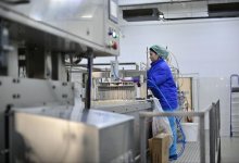 Племенные породы скота вытесняют со всех рынков сбыта в Казахстане – депутат