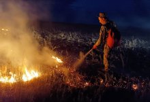 Горящий сухостой ликвидировали на 35 участках в ЗКО