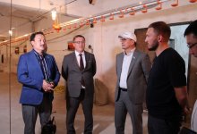 Сократить импорт мяса птицы предложили депутаты Мажилиса в области Улытау