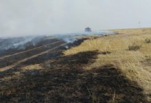 Сухая трава горит в Павлодарской области
