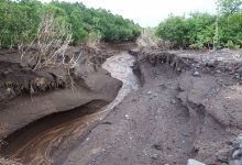 Опасность селя из-за сильной жары выросла в Алматы и окрестностях