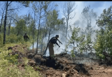 Больше чем через месяц ликвидировали лесной пожар в области Абай