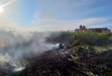 Площадь пожара в Коргалжынском заповеднике выросла почти в семь раз