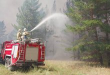 Сухостой и деревья загорелись на территории "Семей орманы" (ВИДЕО)