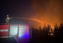 Площадь пожара в "Ертiс орманы" достигла 850 га