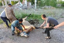 Упавшую в глубокий колодец лошадь спасли полицейские в Абайской области