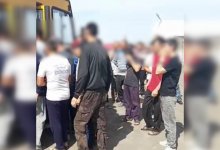 Более 40 иностранцев нелегально работали в Акмолинской области