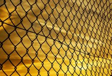 В незаконном отъеме земли обвинили акимат Шымкента